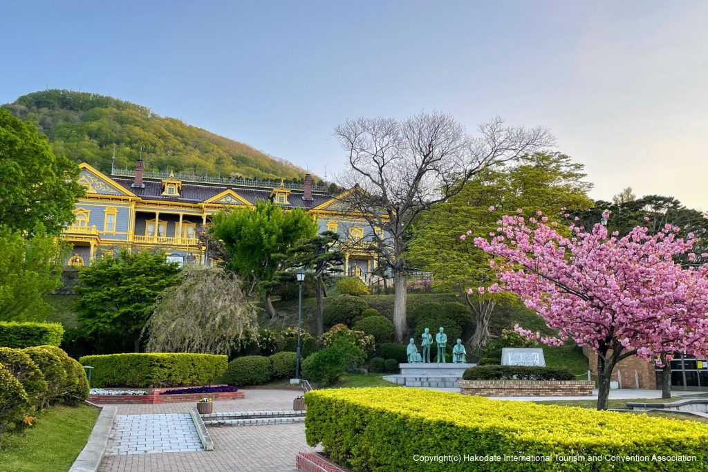 函館元町公園的櫻花