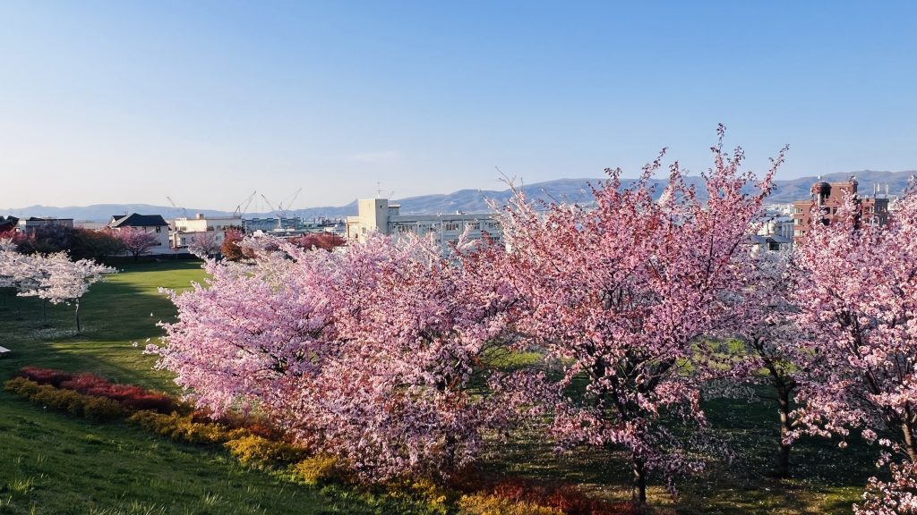函館元町公園