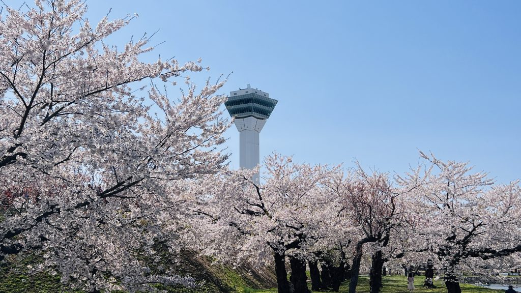五稜郭公園望去的五稜郭塔