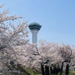 五稜郭公園望去的五稜郭塔