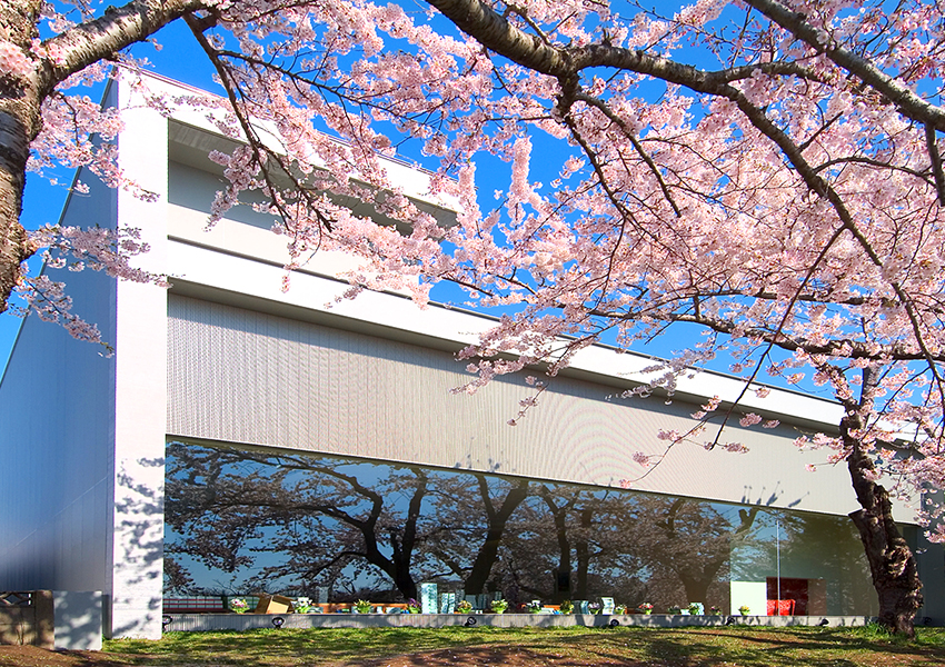 六花亭五稜郭店