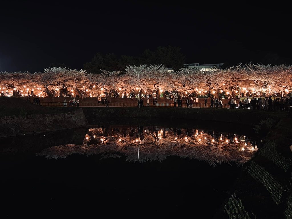 函館五稜郭公園夜櫻倒影