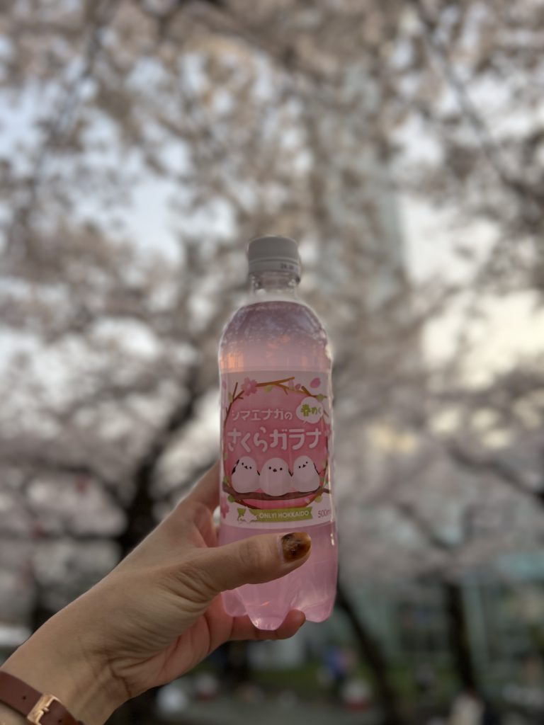 函館五稜郭塔：櫻花限定伴手禮