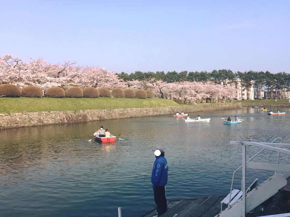 函館五稜郭公園：櫻花與划船