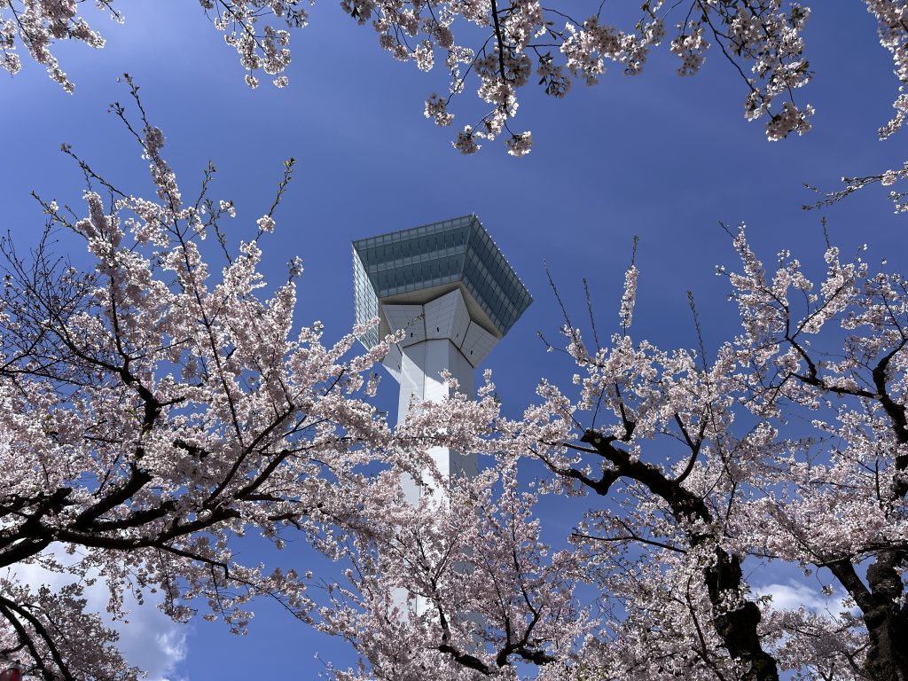 五稜郭公園望上去的五稜郭塔