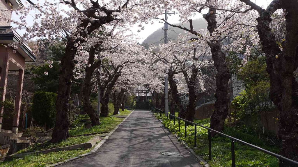 函館住三吉神社 (2)
