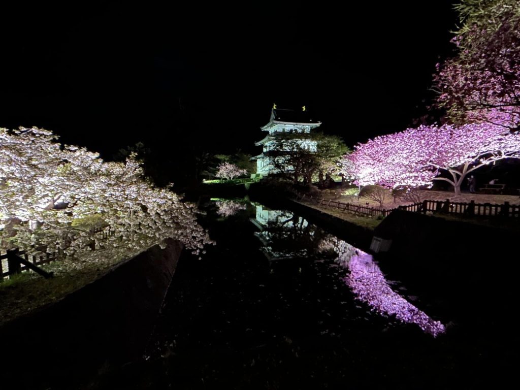 北海道松前城的夜櫻點燈