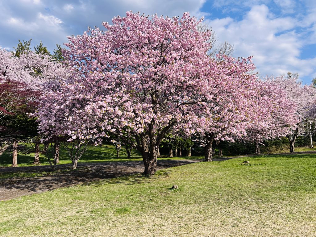 北海道森町：ONIUSHI 公園 (1)