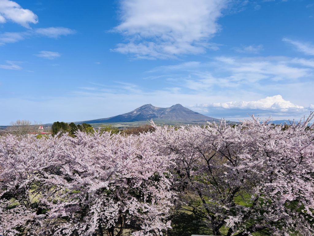 北海道森町：ONIUSHI 公園 (2)
