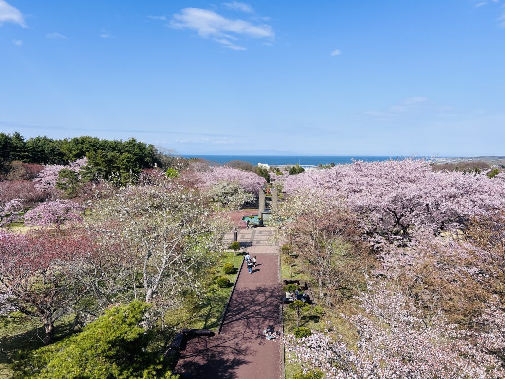 北海道森町：ONIUSHI 公園 (3)