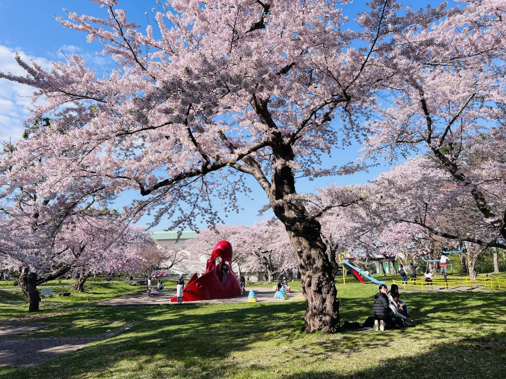 北海道森町：ONIUSHI 公園 (4)