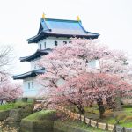 松前城櫻花