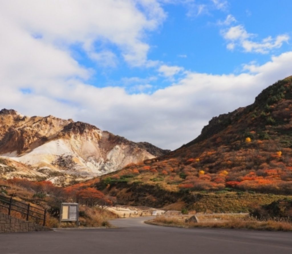 函館楓葉：惠山